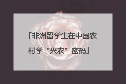 非洲留学生在中国农村学“兴农”密码