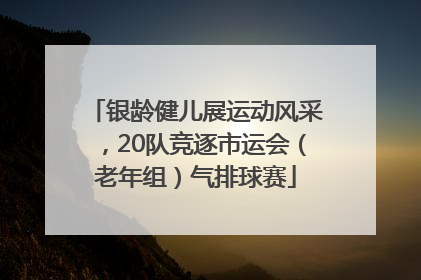 银龄健儿展运动风采，20队竞逐市运会（老年组）气排球赛