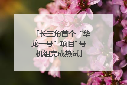 长三角首个“华龙一号”项目1号机组完成热试