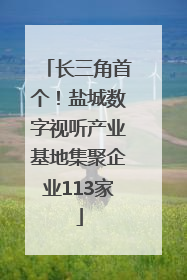 长三角首个！盐城数字视听产业基地集聚企业113家