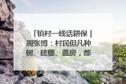 镇村一线话耕保｜周张博：村民但凡种树、建棚、盖房，都要向街道报批