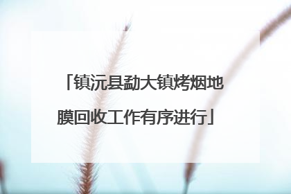 镇沅县勐大镇烤烟地膜回收工作有序进行