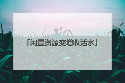 闲置资源变增收活水