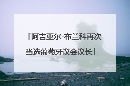 阿吉亚尔-布兰科再次当选葡萄牙议会议长