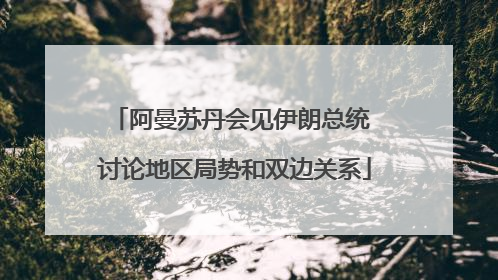 阿曼苏丹会见伊朗总统 讨论地区局势和双边关系