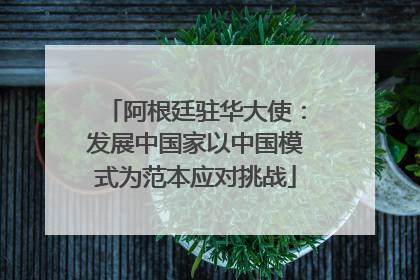 阿根廷驻华大使：发展中国家以中国模式为范本应对挑战