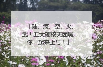 陆、海、空、火、武！五大硬核天团喊你一起来上号！