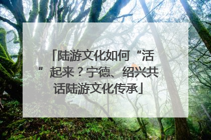 陆游文化如何“活 ”起来？宁德、绍兴共话陆游文化传承