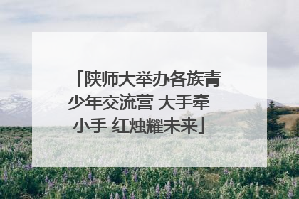 陕师大举办各族青少年交流营 大手牵小手 红烛耀未来