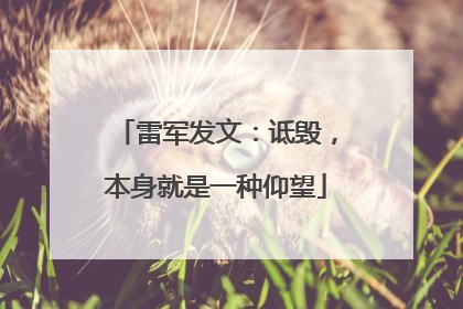 雷军发文：诋毁，本身就是一种仰望
