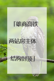 雄商高铁两站房主体结构封顶