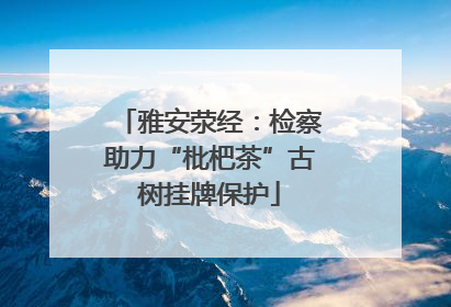 雅安荥经：检察助力“枇杷茶”古树挂牌保护