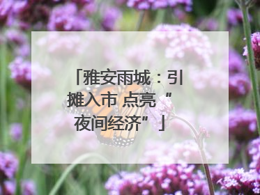 雅安雨城：引摊入市 点亮“夜间经济”