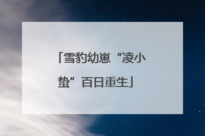 雪豹幼崽“凌小蛰”百日重生