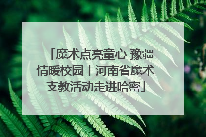 魔术点亮童心 豫疆情暖校园丨河南省魔术支教活动走进哈密