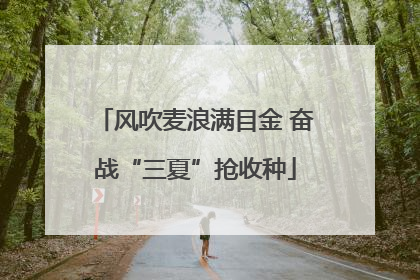 风吹麦浪满目金 奋战“三夏”抢收种
