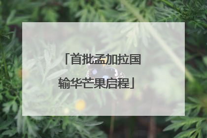 首批孟加拉国输华芒果启程