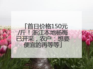 首日价格150元/斤！浙江本地杨梅已开采，农户：想要便宜的再等等