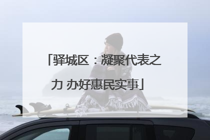 驿城区：凝聚代表之力 办好惠民实事
