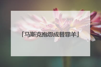 马斯克抱怨成替罪羊