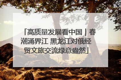 高质量发展看中国｜春潮涌界江 黑龙江对俄经贸文旅交流绿意盎然