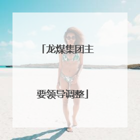 龙煤集团主要领导调整