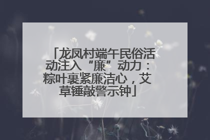 龙凤村端午民俗活动注入“廉”动力：粽叶裹紧廉洁心，艾草锤敲警示钟