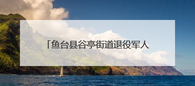鱼台县谷亭街道退役军人服务站开展政策宣传活动