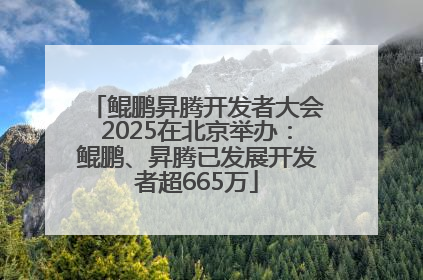 鲲鹏昇腾开发者大会2025在北京举办：鲲鹏、昇腾已发展开发者超665万