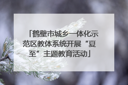 鹤壁市城乡一体化示范区教体系统开展“夏至”主题教育活动