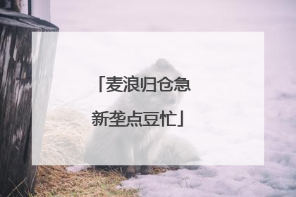 麦浪归仓急 新垄点豆忙
