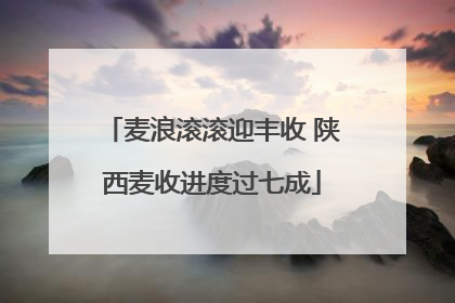 麦浪滚滚迎丰收 陕西麦收进度过七成