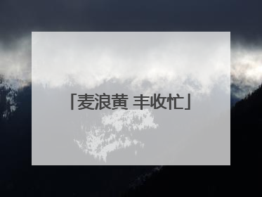 麦浪黄 丰收忙