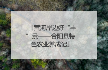 黄河岸边好“丰”景——合阳县特色农业养成记