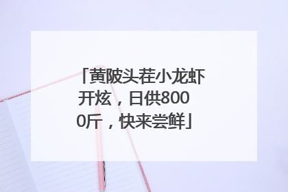 黄陂头茬小龙虾开炫，日供8000斤，快来尝鲜
