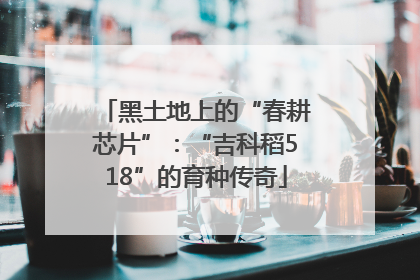 黑土地上的“春耕芯片”：“吉科稻518”的育种传奇