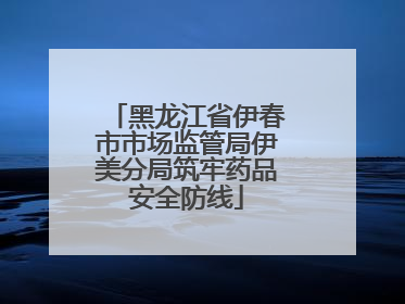 黑龙江省伊春市市场监管局伊美分局筑牢药品安全防线