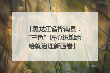 黑龙江省桦南县：“三色”匠心织锦绣 绘就治理新画卷