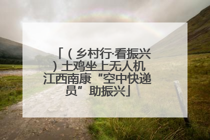 （乡村行·看振兴）土鸡坐上无人机 江西南康“空中快递员”助振兴