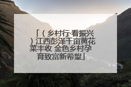 （乡村行·看振兴）江西彭泽千亩黄花菜丰收 金色乡村孕育致富新希望