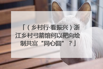（乡村行·看振兴）浙江乡村弓箭馆何以靶向绘制共富“同心圆”？