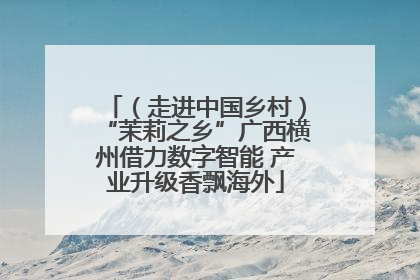 （走进中国乡村）“茉莉之乡”广西横州借力数字智能 产业升级香飘海外