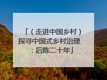 （走进中国乡村）探寻中国式乡村治理：后陈二十年