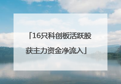 16只科创板活跃股获主力资金净流入