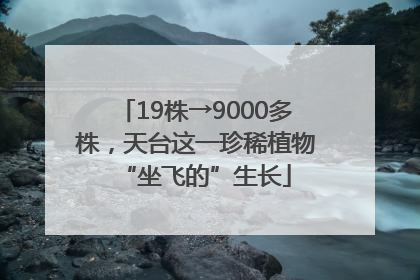 19株→9000多株，天台这一珍稀植物“坐飞的”生长