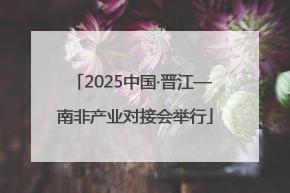 2025中国·晋江—南非产业对接会举行