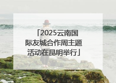 2025云南国际友城合作周主题活动在昆明举行