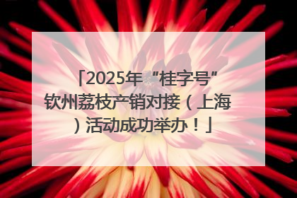 2025年“桂字号”钦州荔枝产销对接（上海）活动成功举办！