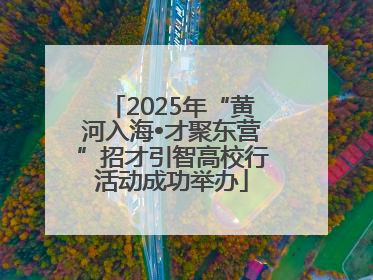 2025年“黄河入海•才聚东营”招才引智高校行活动成功举办