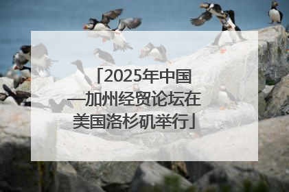 2025年中国—加州经贸论坛在美国洛杉矶举行